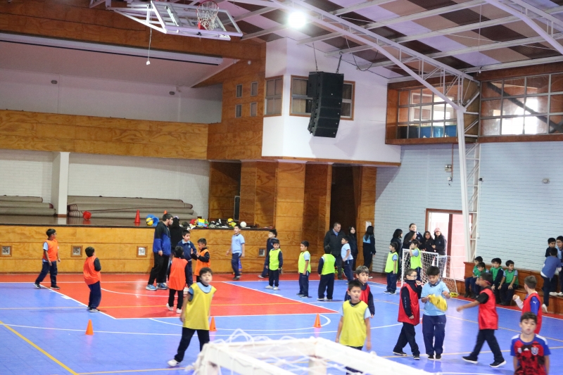 Día de la Actividad Física